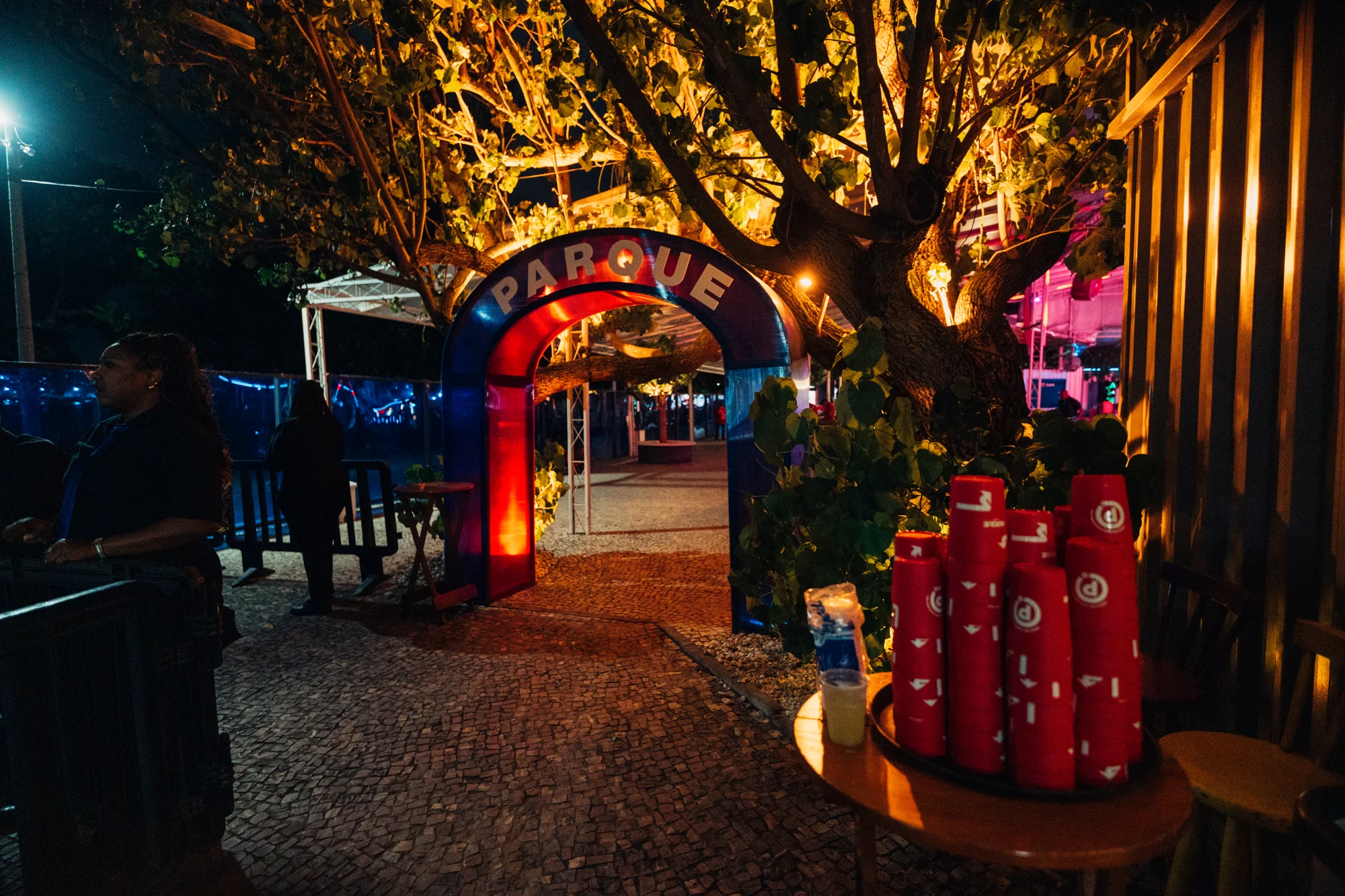 Entrada do Parque iluminada à noite, entre árvores